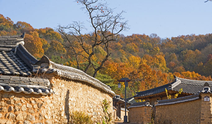 大邱慶北星州郡&漢津村一日私人旅遊