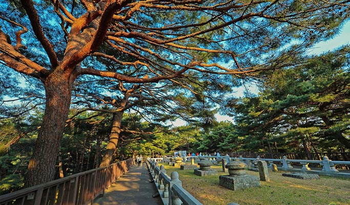 Gyeongbuk Seongju Nature-Healing Private Tour (Korean Melon Picking & Forest) from Daegu/Busan