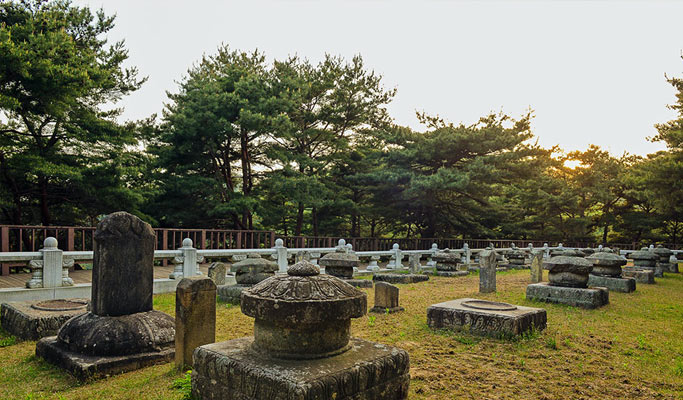 Gyeongbuk Seongju Nature-Healing Private Tour (Korean Melon Picking & Forest) from Daegu/Busan