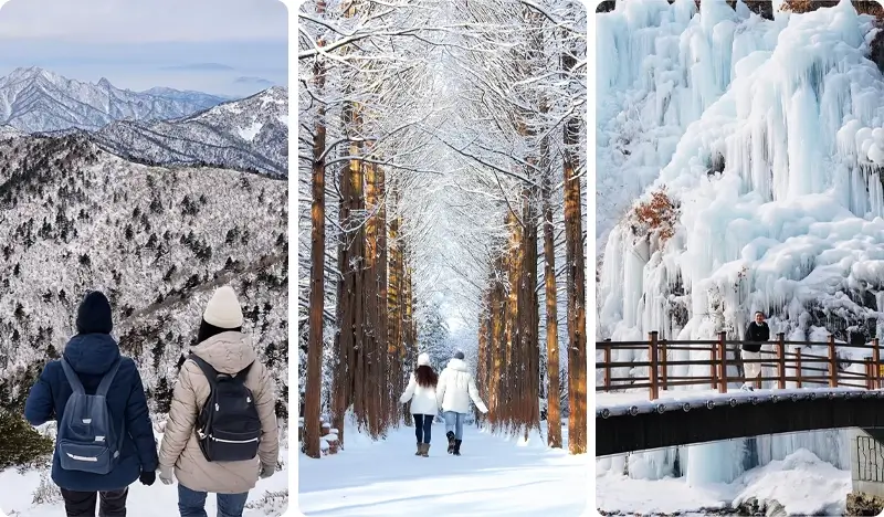 Seoraksan and Nami Island (+ Eobi Ice Valley) 1 Day Tour - from Seoul (Sept 16~Feb 28)