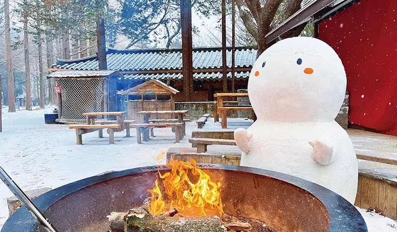 Seoraksan and Nami Island (+ Eobi Ice Valley) 1 Day Tour - from Seoul (Sept 16~Feb 28) - view 1