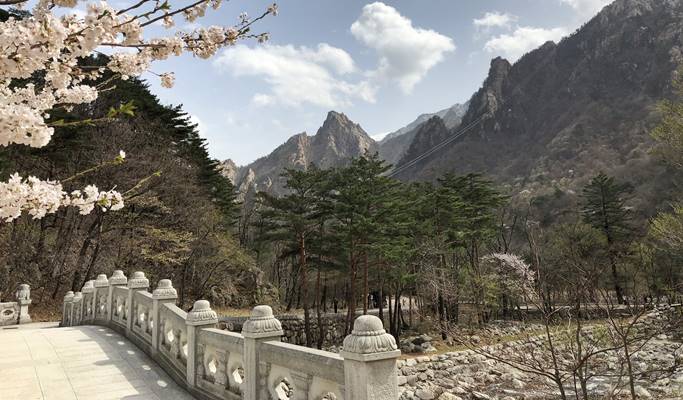 Seoraksan National Park + Sinheungsa Temple + Sokcho Beach 1 Day Tour - from Seoul