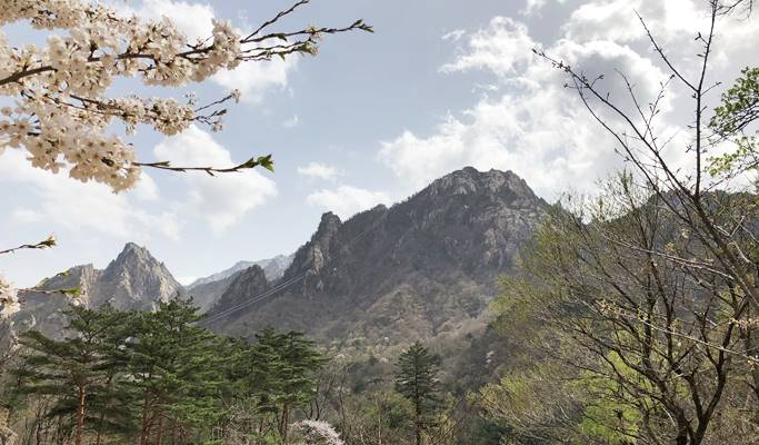 Seoraksan National Park + Sinheungsa Temple + Sokcho Beach 1 Day Tour - from Seoul