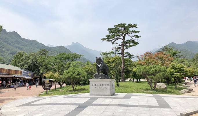 Seoraksan National Park + Sinheungsa Temple + Sokcho Beach 1 Day Tour - from Seoul