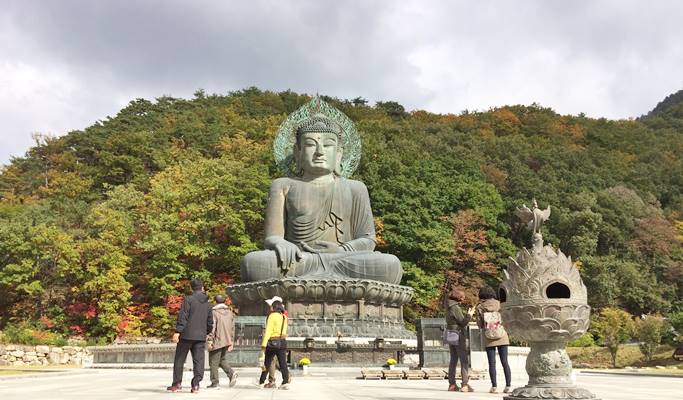 Seoraksan National Park + Sinheungsa Temple + Sokcho Beach 1 Day Tour - from Seoul