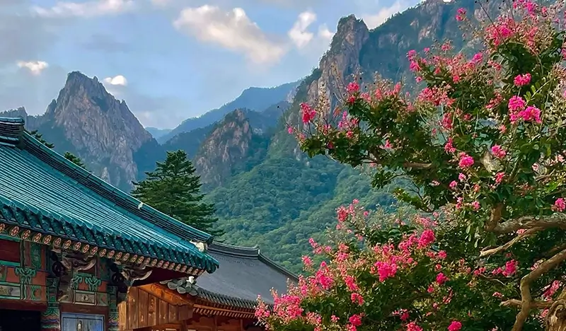 Seoraksan National Park (+ Autumn Flower Festival/ Spring Cherry Blossom Lakeside) 1 Day Tour - from Seoul