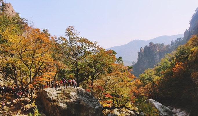 雪嶽山國家公園＆洛山寺一日遊