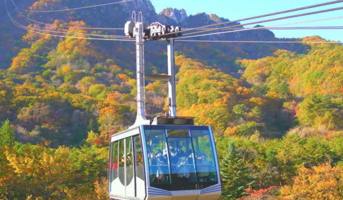 [Autumn Foliage] Naejangsan/ Seoraksan National Park 1 Day Tour from Seoul (Oct 15~Nov 20)