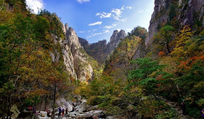 Seoraksan National Park & Goseong DMZ 1 Day Tour - from Seoul (Mar~)