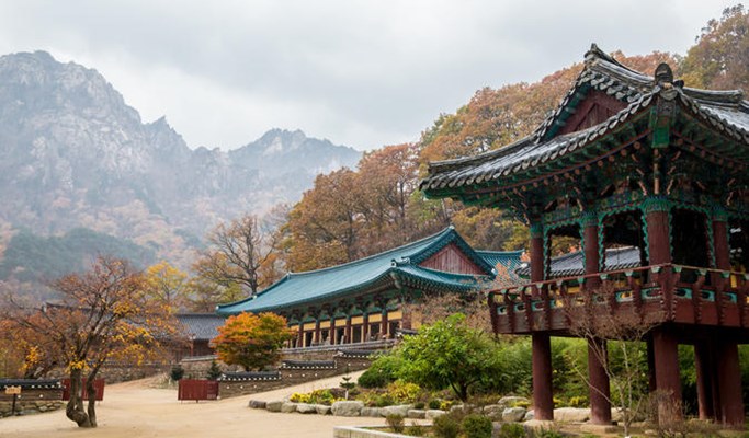 Seoraksan National Park & Goseong DMZ 1 Day Tour - from Seoul (Mar~)
