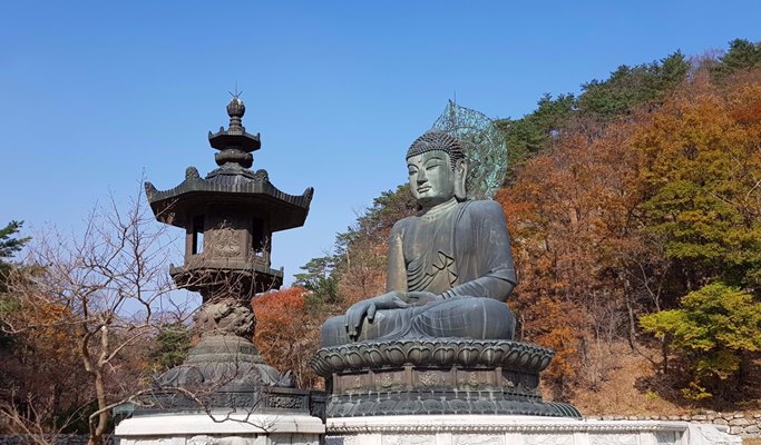 Seoraksan National Park & Goseong DMZ 1 Day Tour - from Seoul (Mar~)