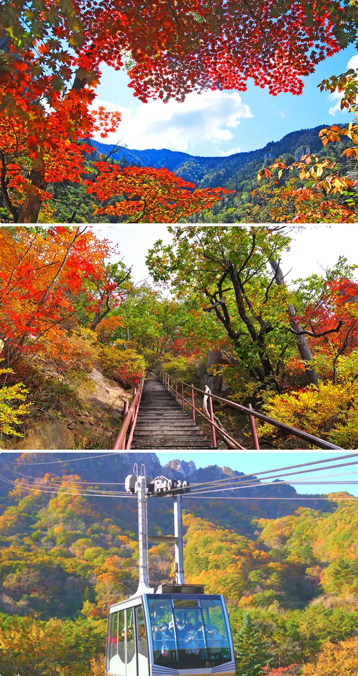 Autumn walking path lined with colorful foliage and a cable car ascending to the peak at Seoraksan National Park.