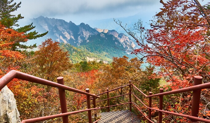 雪嶽山國家公園私人旅遊（+ 南怡島/洛山寺/大關嶺羊群牧場/束草觀光水產市場）