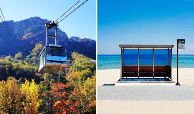 [Glocal] Fall Foliage Special: Seoraksan & East Sea Tour From Seoul (~Oct 31)