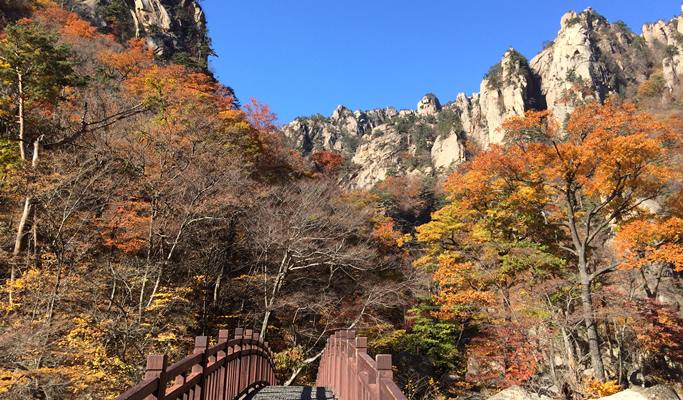 內藏山/雪嶽山秋葉/楓葉一日遊 - 首爾出發（10月11日~11月15日）