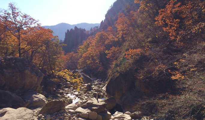 Seoraksan National Park + Alpaca World + Nami Island 1 Day Tour
