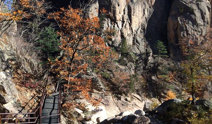 Seoraksan National Park Autumn/Fall Foliage & Birch Tree Forest 1 Day Tour - from Seoul (Oct 12~Nov 2)