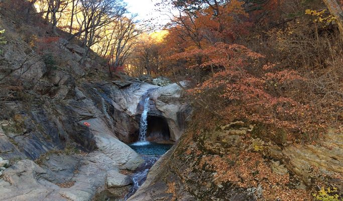 Seoraksan National Park Autumn/Fall Foliage & Birch Tree Forest 1 Day Tour - from Seoul (Oct 12~Nov 2)