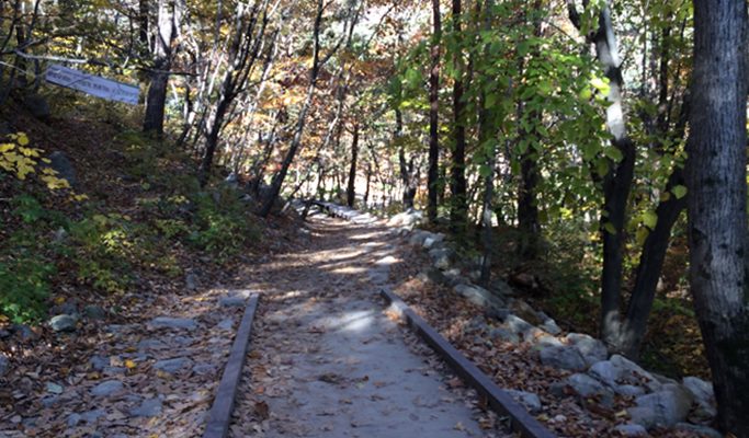 Seoraksan National Park Autumn/Fall Foliage & Birch Tree Forest 1 Day Tour - from Seoul (Oct 12~Nov 2)
