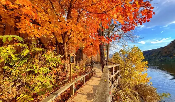 Seoraksan and Nami Island (+ Eobi Ice Valley) 1 Day Tour - from Seoul (Sept 16~Feb 28)