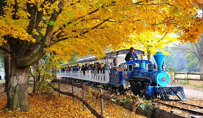 Seoraksan and Nami Island (+ Eobi Ice Valley) 1 Day Tour - from Seoul (Sept 16~Feb 28)