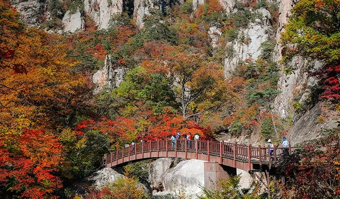 Seoraksan and Nami Island (+ Eobi Ice Valley) 1 Day Tour - from Seoul (Sept 16~Feb 28)