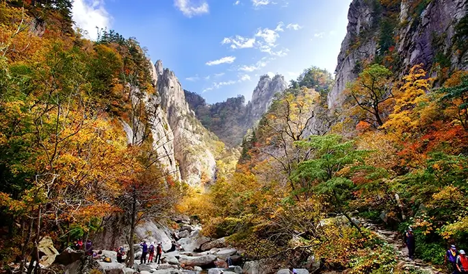 Seoraksan and Nami Island (+ Eobi Ice Valley) 1 Day Tour - from Seoul (Sept 16~Feb 28)
