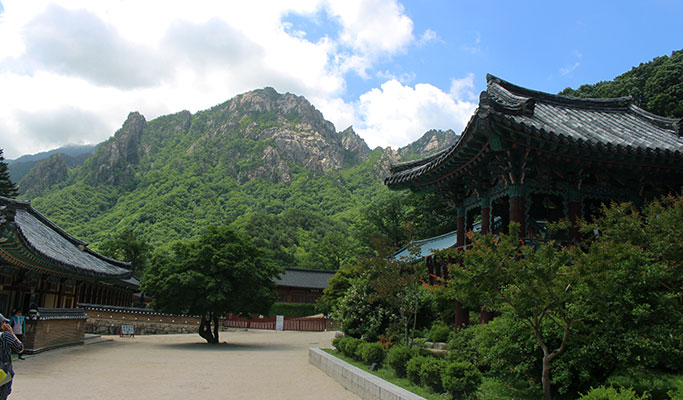 Goseong Lavender Farm & Seoraksan Mountain / Sokcho 1 Day Tour (Jun 10~22)