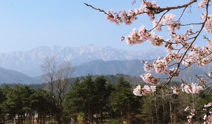 南怡島＆雪嶽山之旅（+ 晨靜樹木園/鐵路自行車選項）