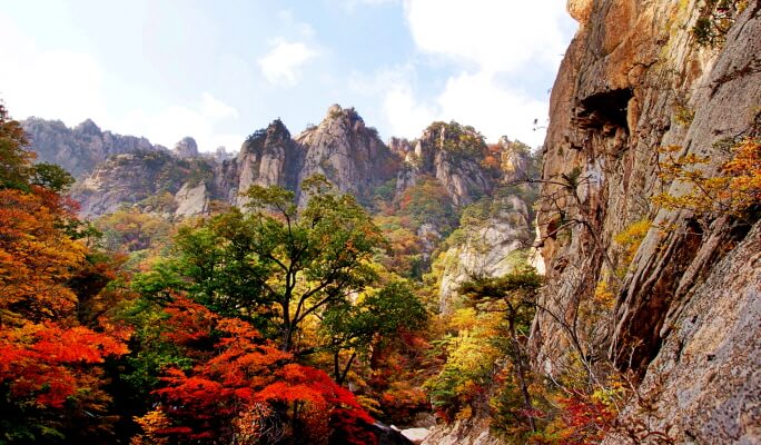 南怡島＆雪嶽山之旅（+ 晨靜樹木園/鐵路自行車選項）