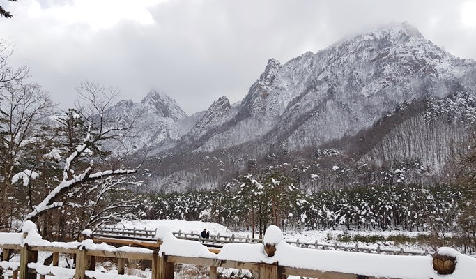南怡島＆雪嶽山之旅（+ 晨靜樹木園/鐵路自行車選項）