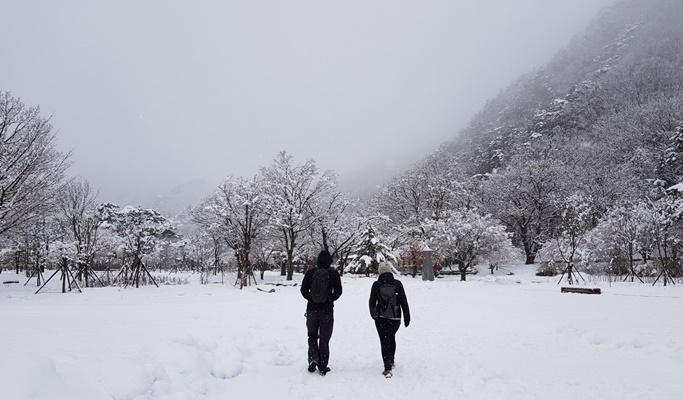 Seoraksan National Park Hiking Tour (Private/Join-in)