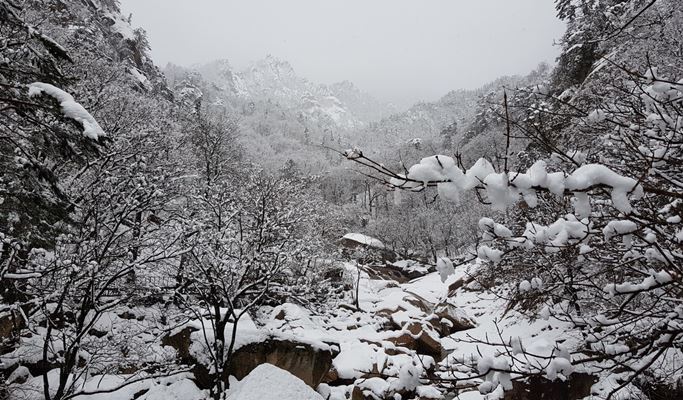Elysian Gangchon Ski Resort + Seoraksan National Park + Garden of Morning Calm Light Festival 1 Day Tour
