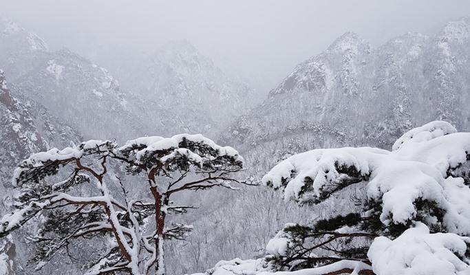 Seoraksan National Park Hiking Tour (Private/Join-in)