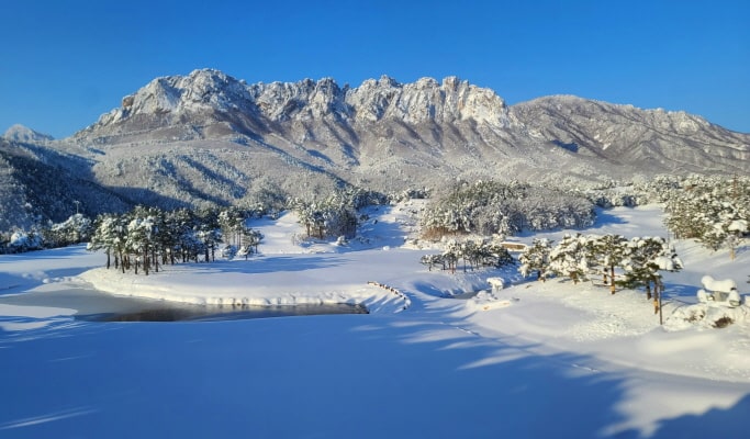Winter Hiking: In-je Maebawi Icewall & Wondae-ri Birch Forest/ Seoraksan National Park 1 Day Tour (Dec 15~Feb 28)