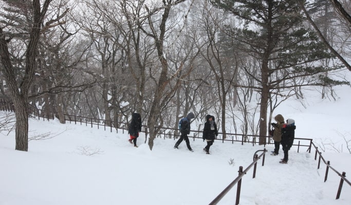 Winter Hiking: In-je Maebawi Icewall & Wondae-ri Birch Forest/ Seoraksan National Park 1 Day Tour (Dec 15~Feb 28)