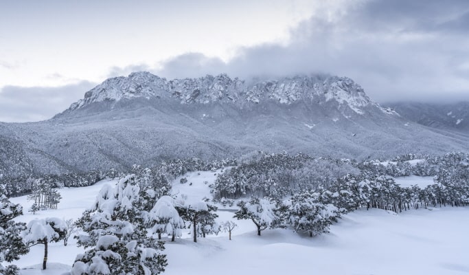 Winter Hiking: In-je Maebawi Icewall & Wondae-ri Birch Forest/ Seoraksan National Park 1 Day Tour (Dec 15~Feb 28)