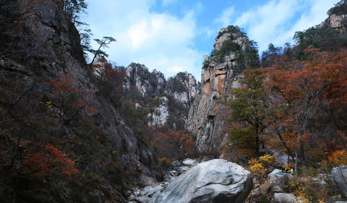 Seoraksan National Park (+ Autumn Flower Festival/ Spring Cherry Blossom Lakeside) 1 Day Tour - from Seoul