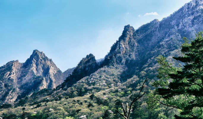 Seoraksan National Park (+ Autumn Flower Festival/ Spring Cherry Blossom Lakeside) 1 Day Tour - from Seoul