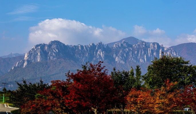 Seoraksan National Park 1 Day Tour - from Seoul