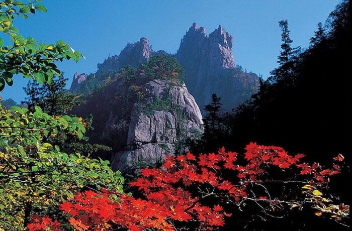 Korea Autumn/Fall Foliage Mountain Shuttle Bus Package