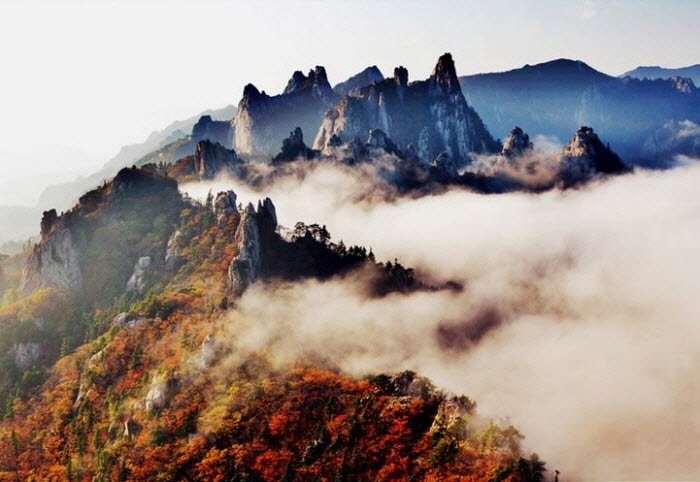Korea Autumn/Fall Foliage Mountain Shuttle Bus Package