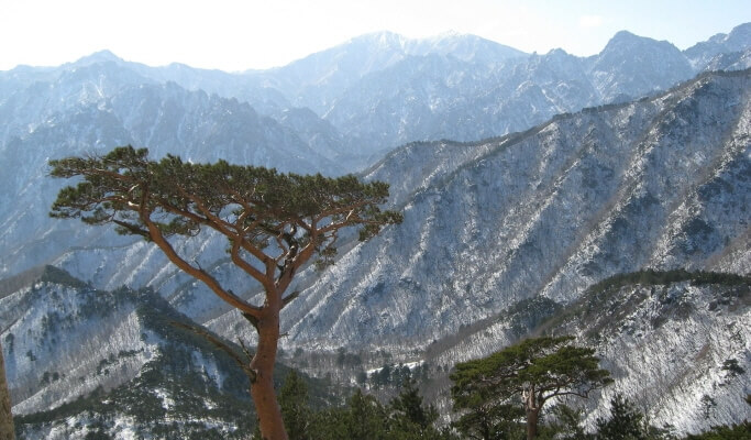 雪嶽山國家公園＆洛山寺一日遊