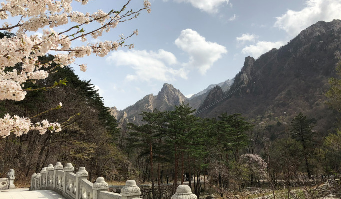 Seoraksan National Park Hiking Tour (Private/Join-in)