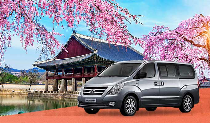 Spring Special: Seoul Cherry Blossom Private 1 Day Tour (Apr 4~12)