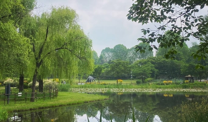 Seoul City Tour for Vegetarians & Muslims