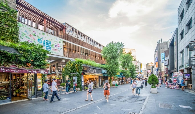 Seoul City Tour for Vegetarians & Muslims
