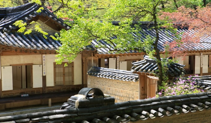 Seoul City Tour for Vegetarians & Muslims