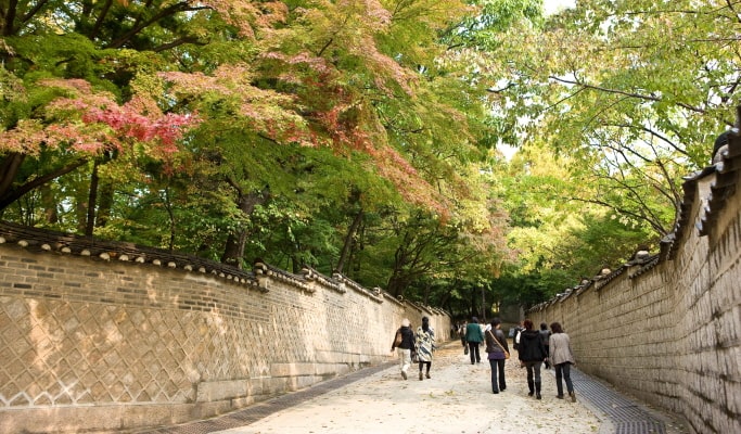 Seoul City Tour for Vegetarians & Muslims
