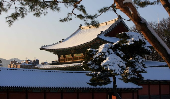 Seoul City Tour for Vegetarians & Muslims